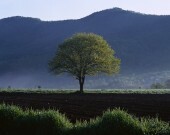 Bandymas suprasti pagrindines depresijos priežastis