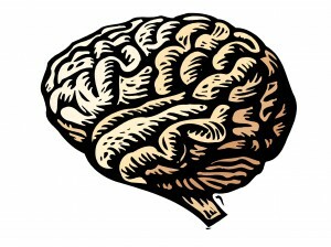 Traumos veikia jūsų smegenis, tačiau PTSS išgydoma labiau nei bet kada. Sužinokite, kaip trauma veikia smegenis ir kaip neuroplastiškumas padeda atsigauti. Perskaityk tai.