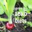 Suaugusiųjų ADHD ir dietos